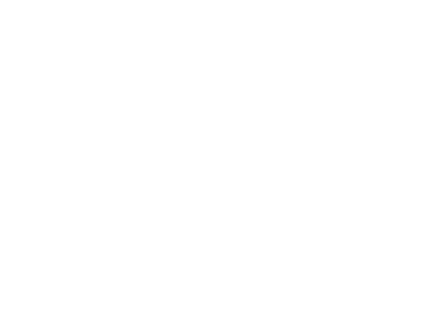 Pure Flix Logo